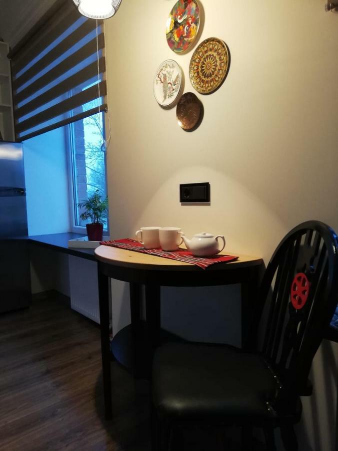 Elen White Apartment Rēzekne エクステリア 写真